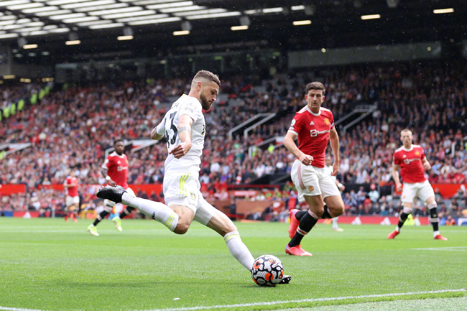 展现了极高 展现了极高